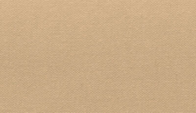 Buckram Premium_29004