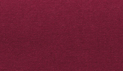 Buckram Premium_29005