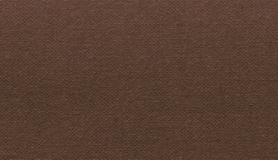 Buckram Premium_29008