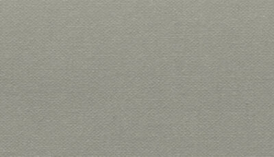Buckram Premium_29010