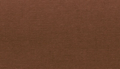 Buckram Premium_29016