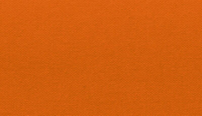 Buckram Premium_29019