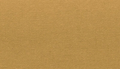 Buckram Premium_29031