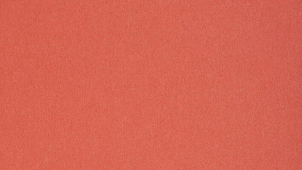 SIRIO-FLAMINGO-scaled