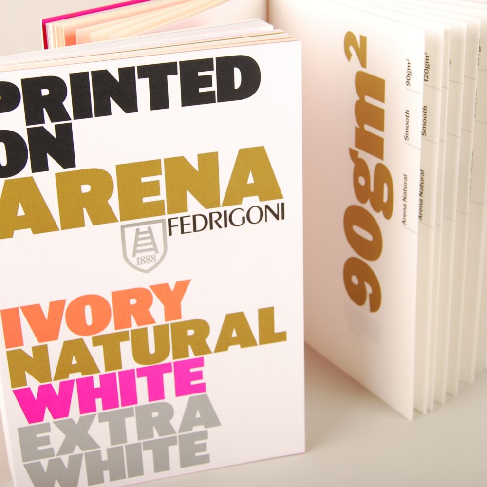 Z Arena23 (2)