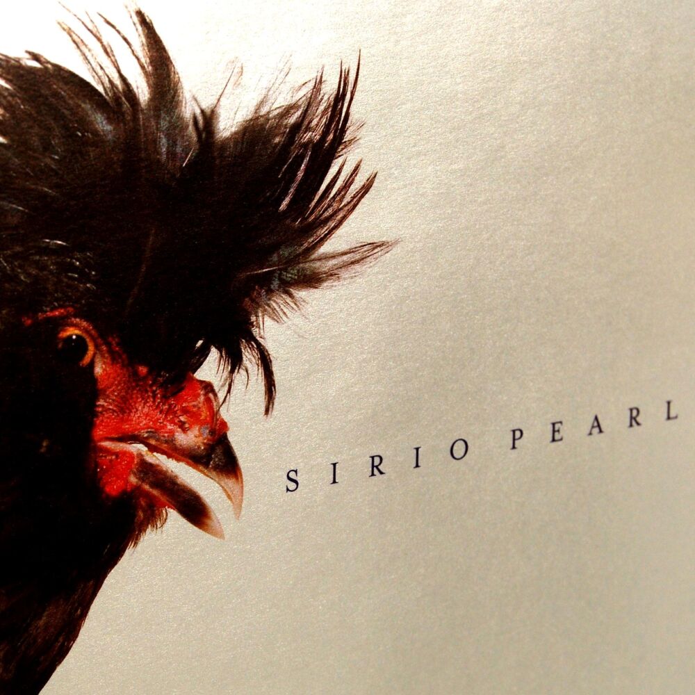 Z Sirio_Pearl2