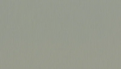 Buckram_Premium_Matt_29210 - scaled