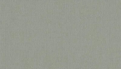 Buckram_Premium_Matt_29210