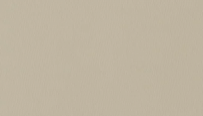 Buckram_Premium_Matt_29250 - scaled