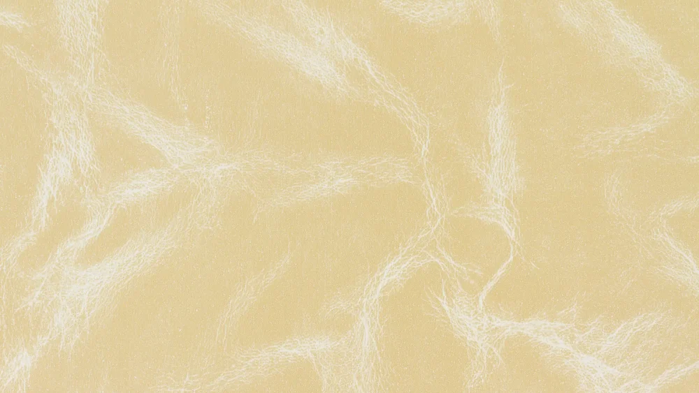 Novaflex Waxholm Benvit